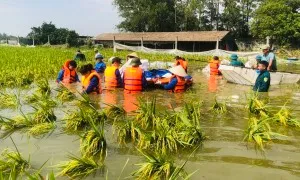 Nhiều nơi còn ngập 9-11 ngày